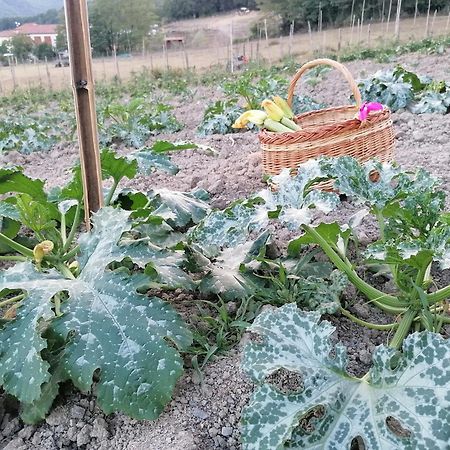 Agriturismo Dei Legi Βίλα San Pietro Vara Εξωτερικό φωτογραφία