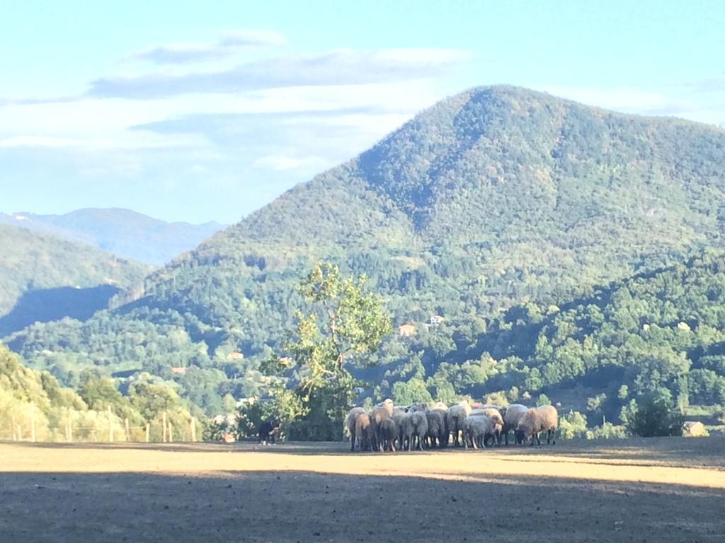 Agriturismo Dei Legi Βίλα San Pietro Vara Εξωτερικό φωτογραφία