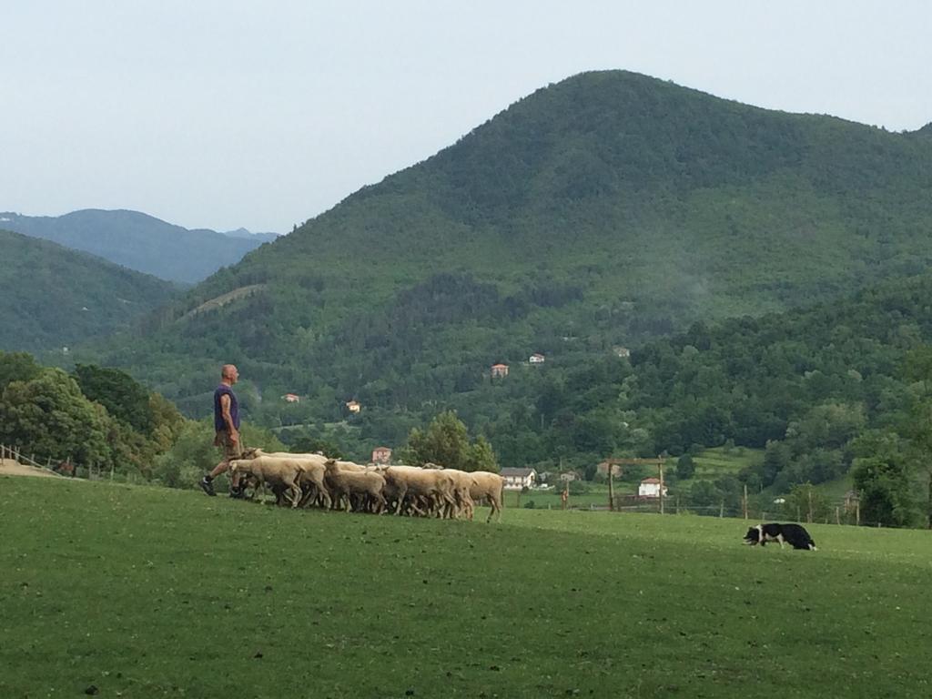 Agriturismo Dei Legi Βίλα San Pietro Vara Εξωτερικό φωτογραφία