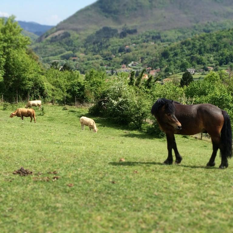 Agriturismo Dei Legi Βίλα San Pietro Vara Εξωτερικό φωτογραφία