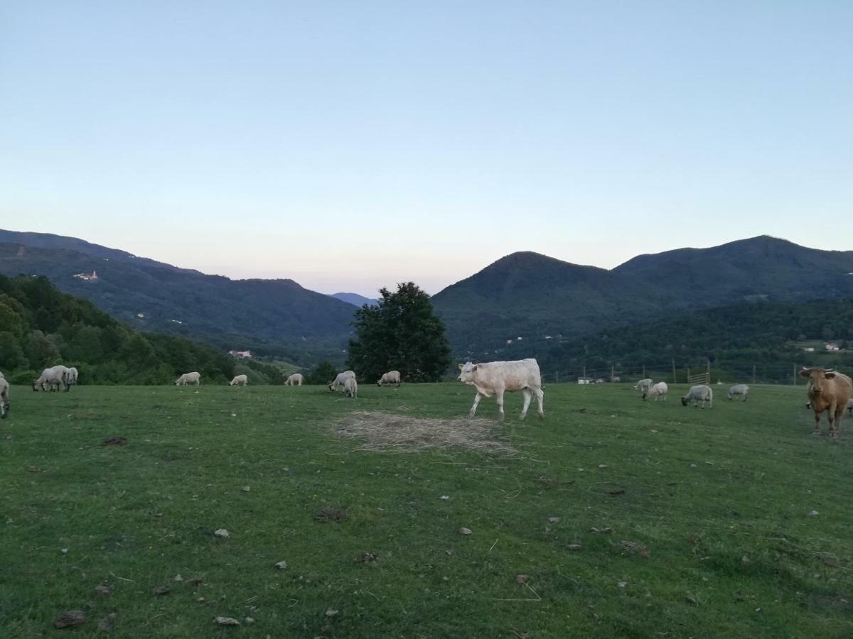 Agriturismo Dei Legi Βίλα San Pietro Vara Εξωτερικό φωτογραφία