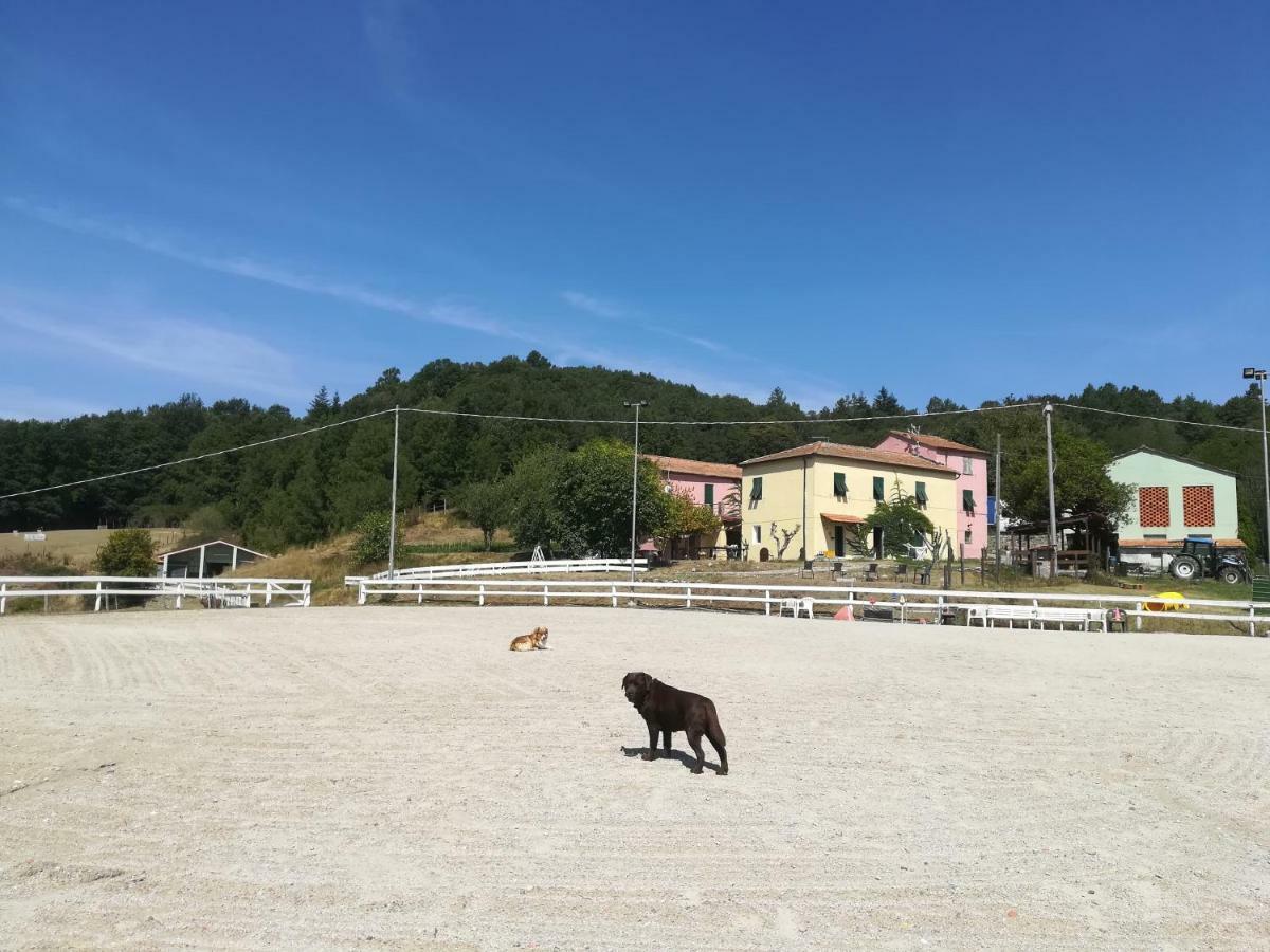 Agriturismo Dei Legi Βίλα San Pietro Vara Εξωτερικό φωτογραφία